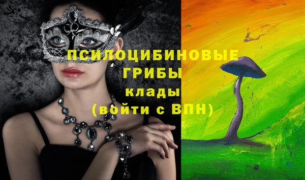 кокс Гусиноозёрск