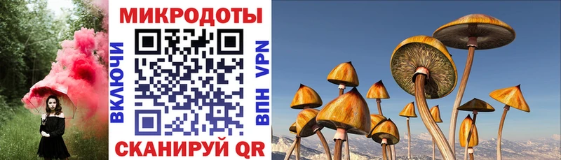 Галлюциногенные грибы MAGIC MUSHROOMS  Щёлково 